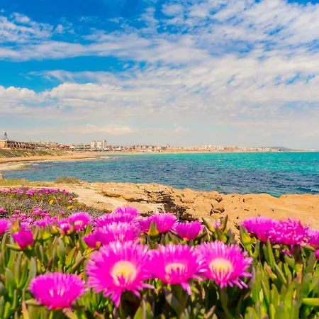 Lejlighed Zeus Id142 Torrevieja