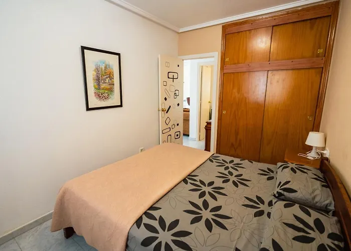 Zeus Id142 Lejlighed Torrevieja