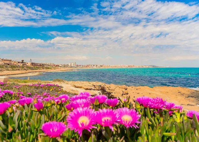 Lejlighed Zeus Id142 Torrevieja